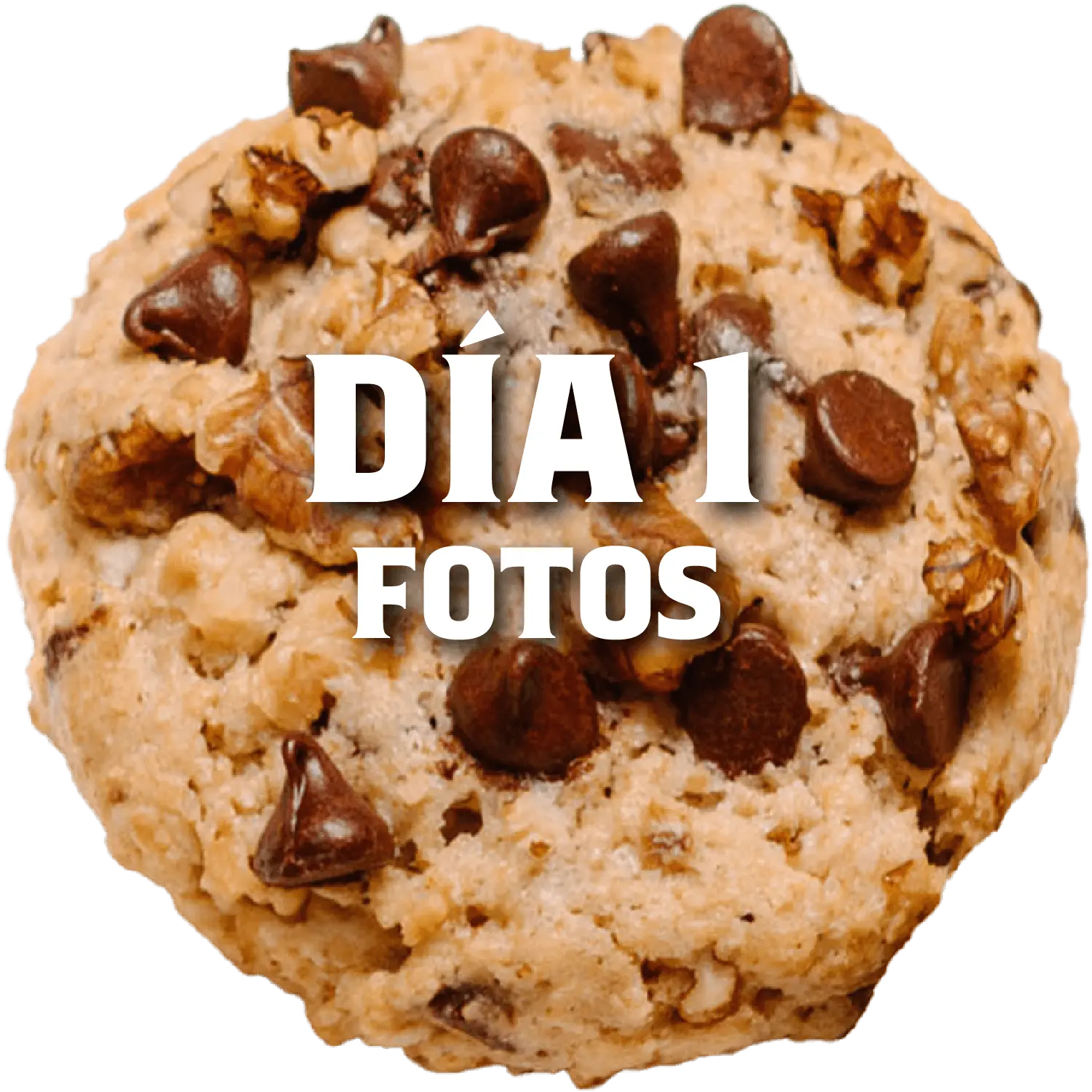 Boton galleta de Avena Quaker rellena de cheesecake