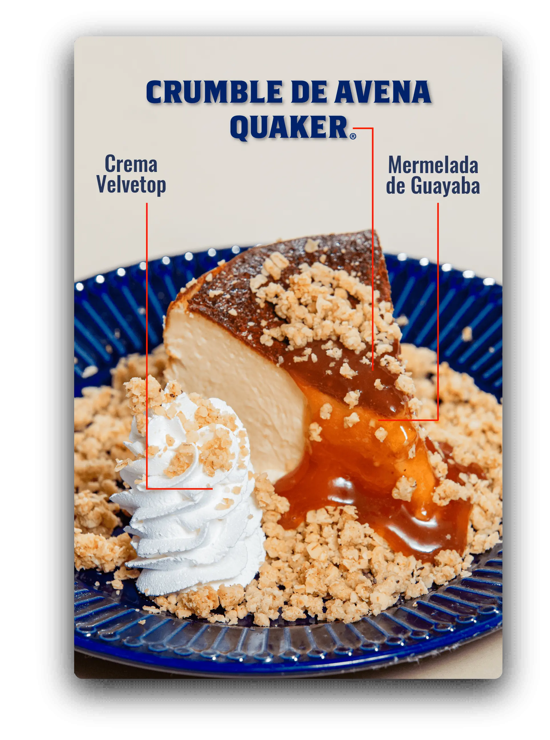 Quaker by mini Cheesecake Vasca